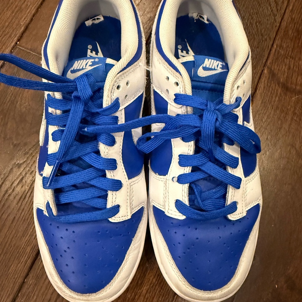 Nike Kids Royal Blue and White Nike Dunk Sneakers